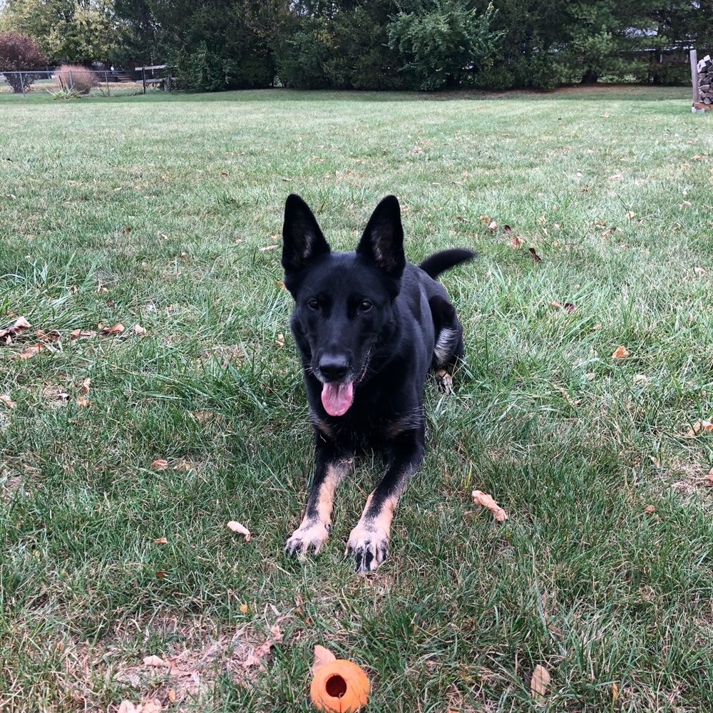 Meet your Posher, Jenny